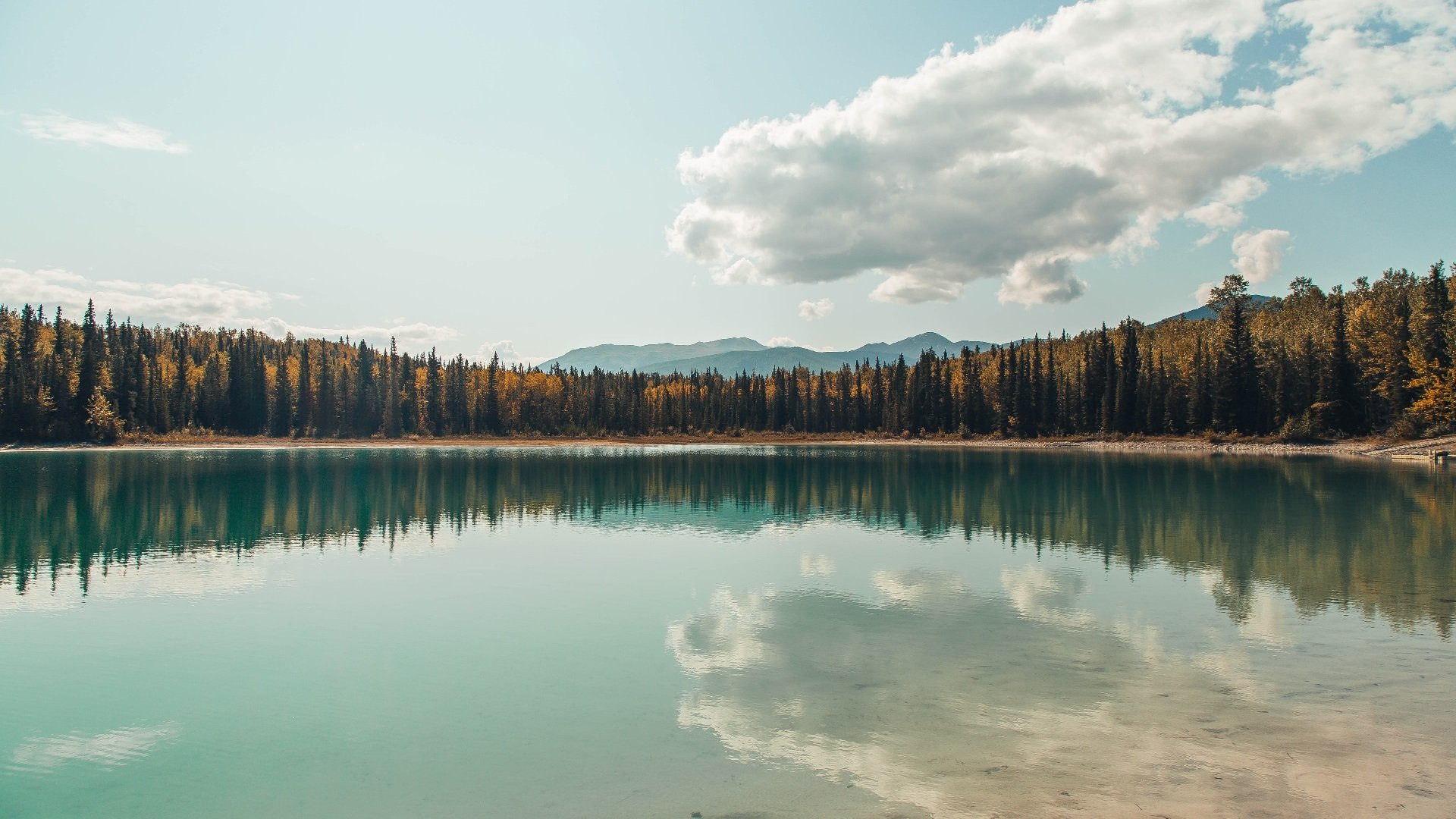 以足球为主题的文化产业项目不断创新发展，关于足球文化的征文600字作文