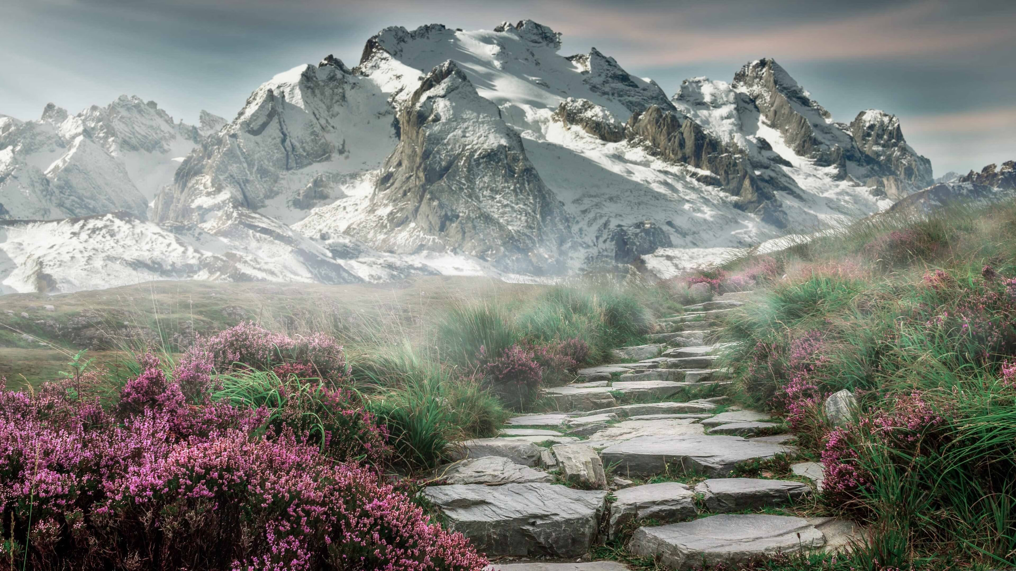 开云体育官方下载-城市探险运动会，寻找未知的惊喜，城市探险网