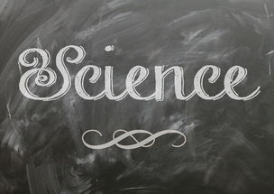 开云体育网站入口-麦考领袖风范：全黑队胜利的灵魂人物，麦考3个总冠军